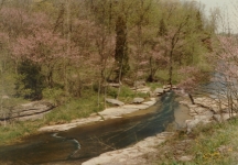 creek1