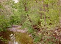 creek 4